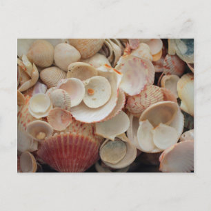 USA, Florida. Nahen Muscheln auf Santa Rosa Postkarte