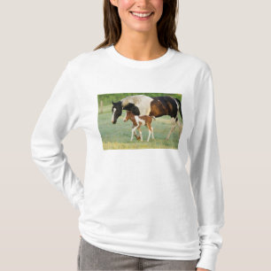 USA, Florida, neugeborenes Paint Stutfohlen T-Shirt