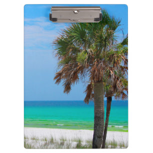 USA, Florida. Palmen an der Emerald Coast Klemmbrett