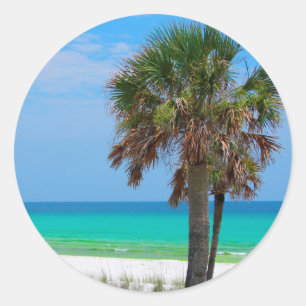 USA, Florida. Palmen an der Emerald Coast Runder Aufkleber