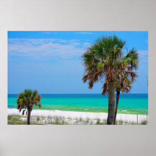 USA, Florida. Palmen an der smaragdgrünen Küste Poster