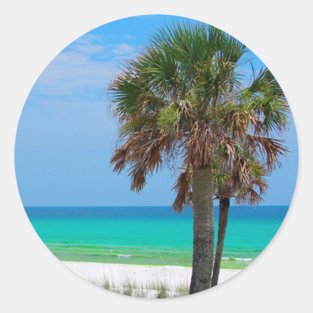 USA, Florida. Palmen an der Smaragdküste Runder Aufkleber (Vorderseite)