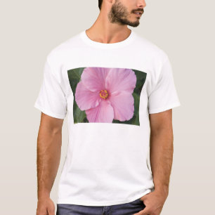 USA, Florida, Sanibel, Hibiskus Rose T-Shirt