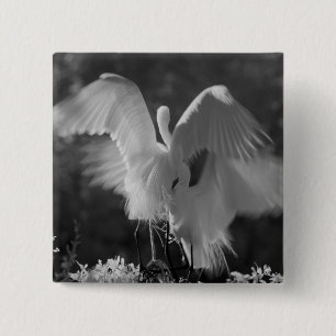 USA, Florida, Silberreiher (Ardea alba) Infrarot 3 Button