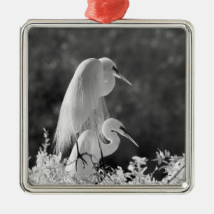 USA, Florida, Silberreiher (Ardea alba) Infrarot Silbernes Ornament