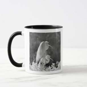 USA, Florida, Silberreiher (Ardea alba) Infrarot Tasse