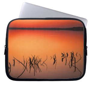 USA, Florida. Silhouetten toter Baumzweige Laptopschutzhülle