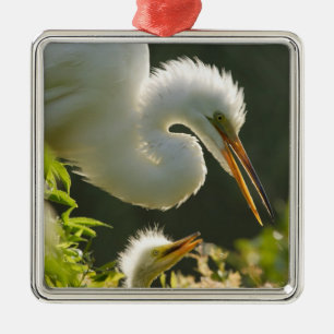 USA, Florida, St. Augustine, Alligatorfarm Silbernes Ornament