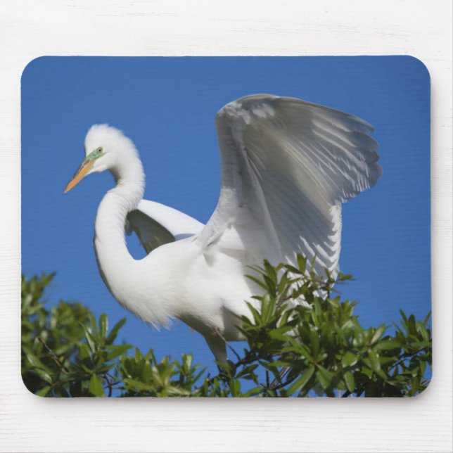 USA, Florida, St. Augustine, Egret Mousepad (Vorne)