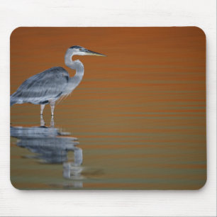 USA, Florida, St. Petersburg, Fort De Soto 2 Mousepad
