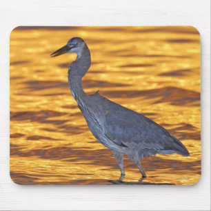 USA, Florida, St. Petersburg, Fort De Soto Park. Mousepad