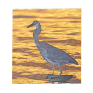 USA, Florida, St. Petersburg, Fort De Soto Park. Notizblock