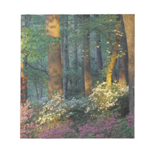 USA, Georgia, Callaway Gardens, Azaleenwald. Notizblock