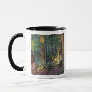 USA, Georgia, Callaway Gardens, Azaleenwald. Tasse