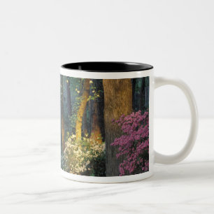 USA, Georgia, Callaway Gardens, Azaleenwald. Zweifarbige Tasse