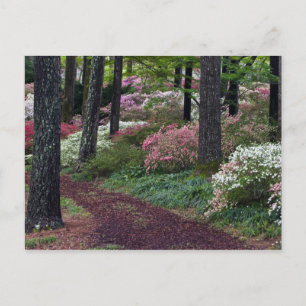 USA, Georgia, Callaway Gardens. Pfad Postkarte