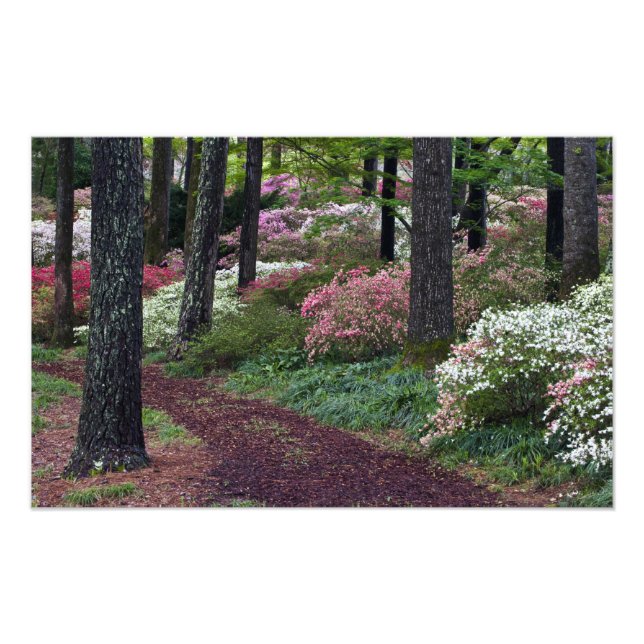 USA, Georgia, Callaway Gardens. Weg Fotodruck (Vorne)