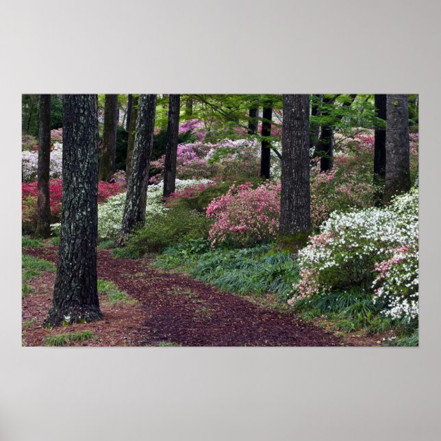 USA, Georgia, Callaway Gardens. Weg Poster (Vorne)