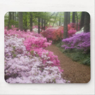 USA; Georgia; Pine Mountain. Azaleen am 2. Mousepad