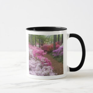USA; Georgia; Pine Mountain. Azaleen am 2. Tasse