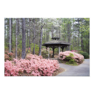 USA, Georgia, Pine Mountain. Ein Pavillon unter Fotodruck