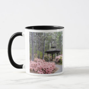USA, Georgia, Pine Mountain. Ein Pavillon unter Tasse
