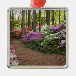 USA, Georgia, Pine Mountain. Ein Pfad durch Silbernes Ornament