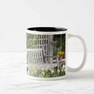 USA, Georgia, Pine Mountain. Stuhl in der Zweifarbige Tasse