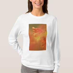 USA Georgia Savannah Buckeye Blume abstrakt T-Shirt
