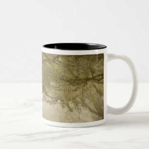 USA, Georgia, Savannah, Eine mit Eichen gesäumte A Zweifarbige Tasse