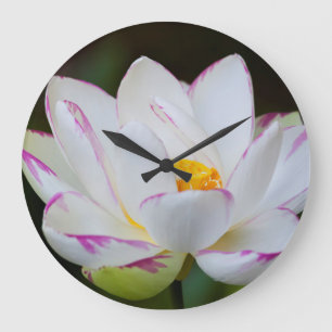 USA, Georgia, Savannah, Lootus Flower Blooming Große Wanduhr