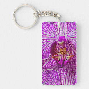 USA, Georgia, Savannah, Nahaufnahme einer Orchidee Schlüsselanhänger