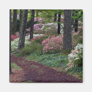 USA, Georgien, Callaway Gardens. Weg Magnet