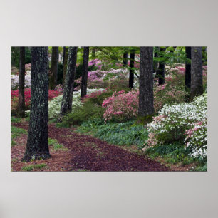 USA, Georgien, Callaway Gardens. Weg Poster