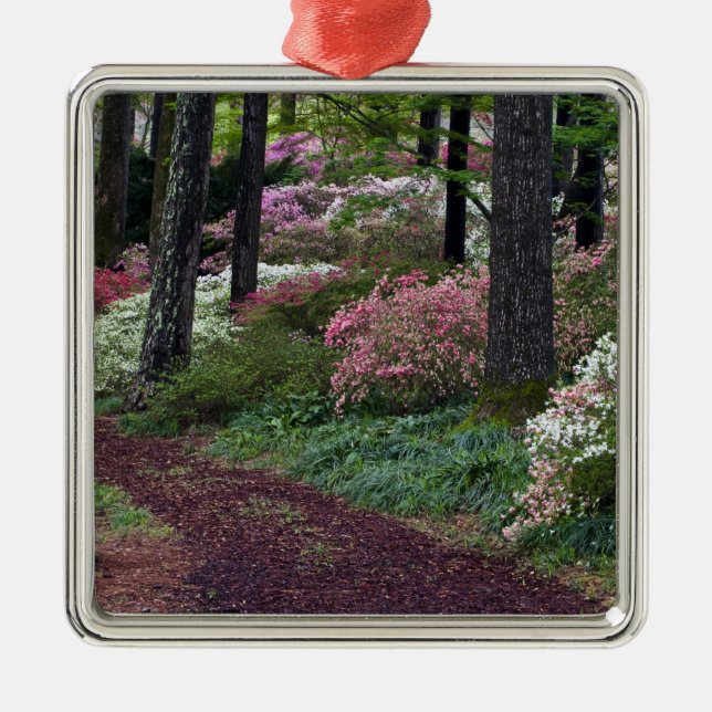 USA, Georgien, Callaway Gardens. Weg Silbernes Ornament (Vorne)