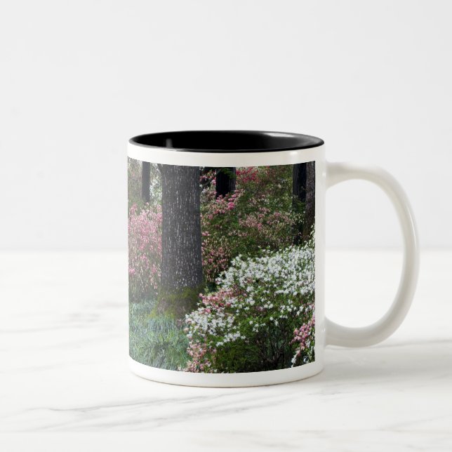 USA, Georgien, Callaway Gardens. Weg Zweifarbige Tasse (Rechts)