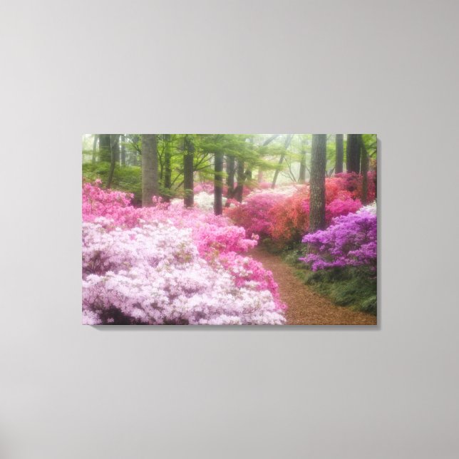 USA; Georgien; Pine Mountain. Azaleen Leinwanddruck (Vorderseite)