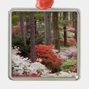 USA, Georgien, Pine Mountain. Ein Wald Ornament Aus Metall