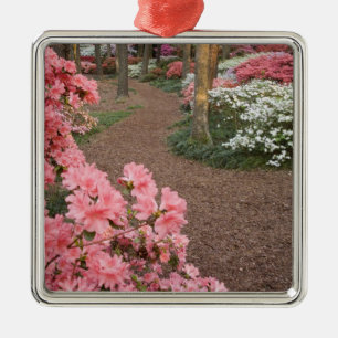 USA, Georgien, Pine Mountain. Ein Weg durch Silbernes Ornament