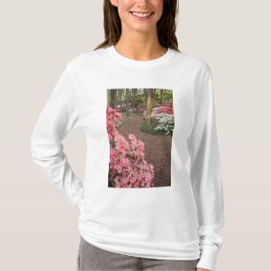 USA, Georgien, Pine Mountain. Ein Weg durch T-Shirt