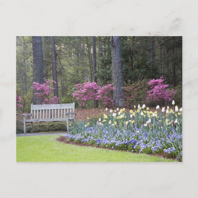USA, Georgien, Pine Mountain. Eine Grenze von Postkarte (Vorderseite)