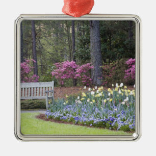 USA, Georgien, Pine Mountain. Eine Grenze von Silbernes Ornament