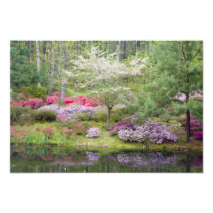 USA, Georgien, Pine Mountain. Eine Mischung Fotodruck