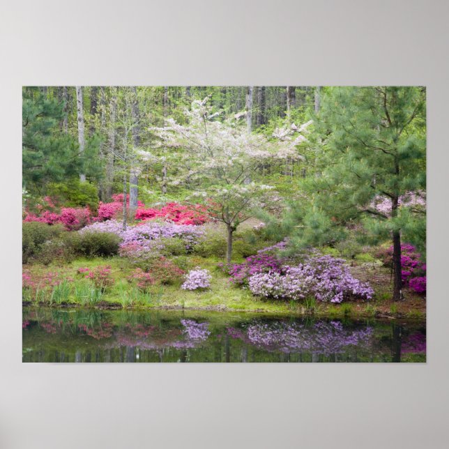 USA, Georgien, Pine Mountain. Eine Mischung Poster (Vorne)