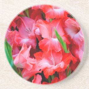 USA, Georgien, Savannah, Bouquet von Gladiolus Getränkeuntersetzer