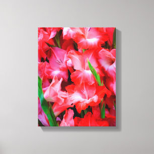 USA, Georgien, Savannah, Bouquet von Gladiolus Leinwanddruck