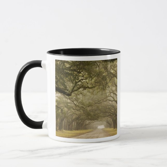 USA, Georgien, Savannah, Ein eiserner Fahrtweg in Tasse (Links)