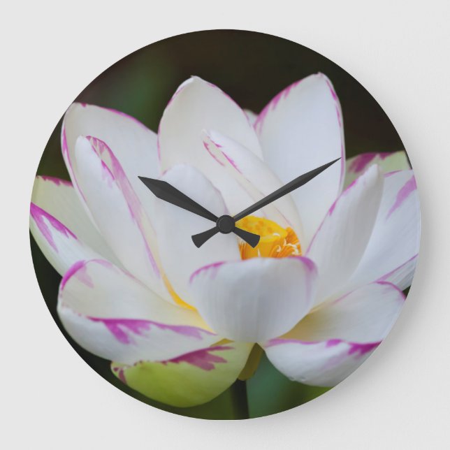 USA, Georgien, Savannah, Lootus Blume Blooming Große Wanduhr (Vorderseite)