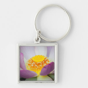 USA, Georgien, Savannah, Nahe Aufnahme eines Lotus Schlüsselanhänger