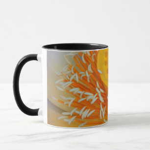 USA, Georgien, Savannah, Naher Aufbau eines Lotus Tasse